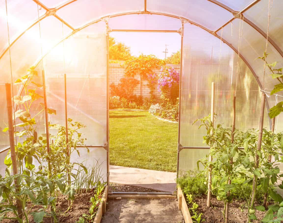 arched small greenhouse on a private backyard